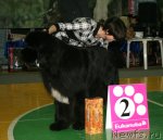 Превью фото № 60231