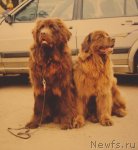 Превью фото № 60649