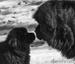 Превью фото № 60651