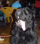 Превью фото № 60728