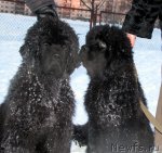 Превью фото № 60771