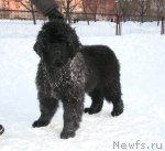 Превью фото № 60775