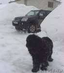 Превью фото № 60784