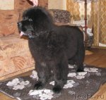 Превью фото № 60864