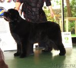 Превью фото № 61016