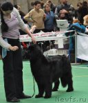 Превью фото № 61198