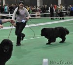 Превью фото № 61202