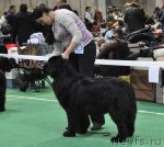 Превью фото № 61205