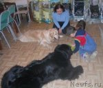 Превью фото № 61274