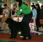 Превью фото № 61361