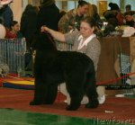 Превью фото № 61362