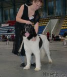 Превью фото № 61435