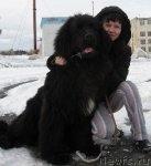 Превью фото № 61446