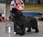 Превью фото № 61453