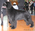 Превью фото № 61478