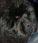 Превью фото № 61682