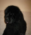 Превью фото № 61760