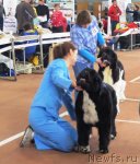 Превью фото № 61851