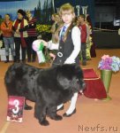 Превью фото № 61939