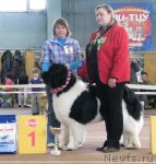 Превью фото № 62008