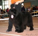 Превью фото № 62018