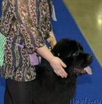 Превью фото № 62276