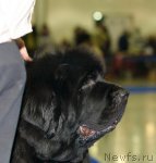 Превью фото № 62286