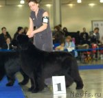 Превью фото № 62290