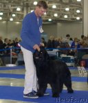 Превью фото № 62309