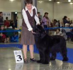 Превью фото № 62314