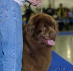 Превью фото № 62326