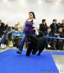 Превью фото № 62346