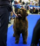 Превью фото № 62355