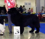 Превью фото № 62360