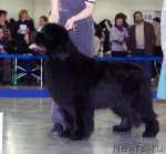 Превью фото № 62362