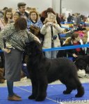 Превью фото № 62462