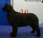 Превью фото № 62464