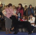 Превью фото № 62472