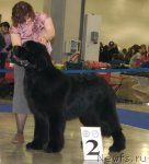 Превью фото № 62480