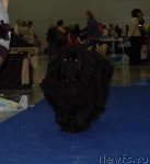 Превью фото № 62499