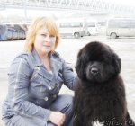 Превью фото № 62603