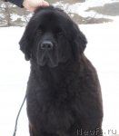 Превью фото № 62609