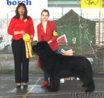 Превью фото № 62618