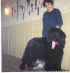 Превью фото № 6265