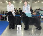 Превью фото № 62713