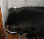 Превью фото № 62811