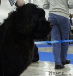 Превью фото № 62820