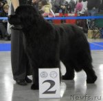 Превью фото № 62825