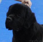 Превью фото № 62830