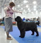 Превью фото № 62835